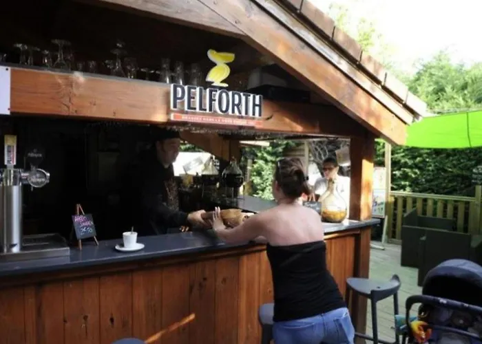Mobil-home 6 Pers Avec Terrasse A - Api-1-52-1647 Camping
